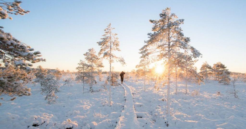 Spedire in Finlandia